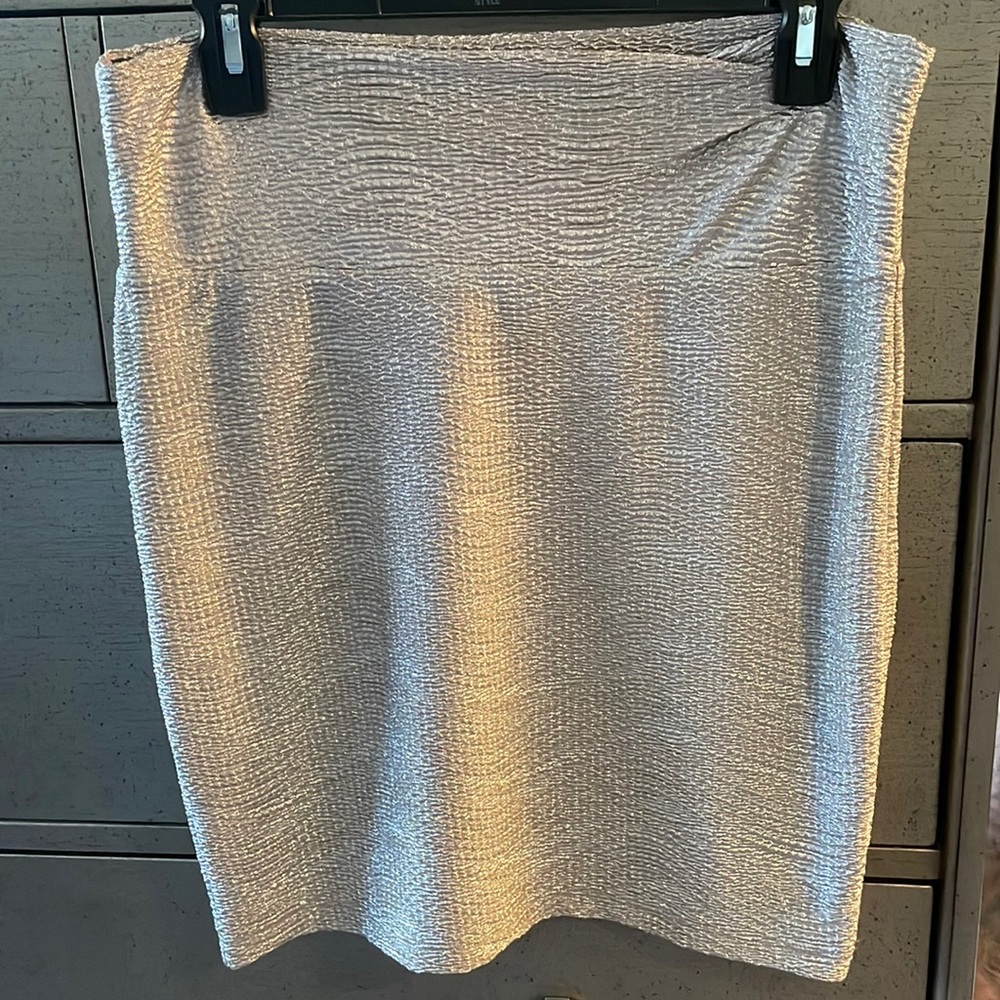 Shiny Silver skirt. Size Large. Brand NEW condition. Length is 19 inches.